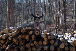 bren on a pile of logs